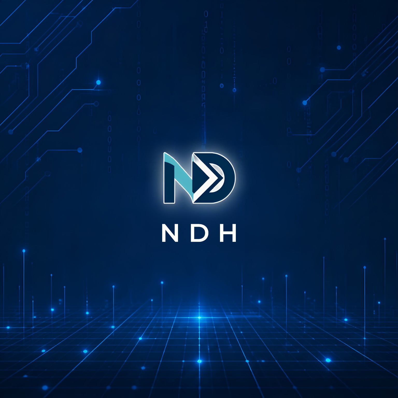 Logo NDH